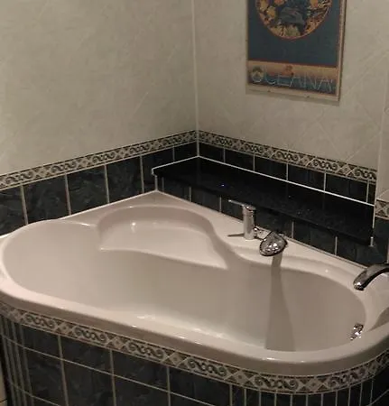 Apartman Jachymov شقة *